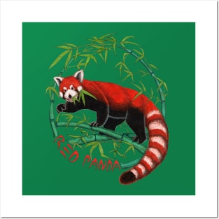 Red Panda Posters and Art